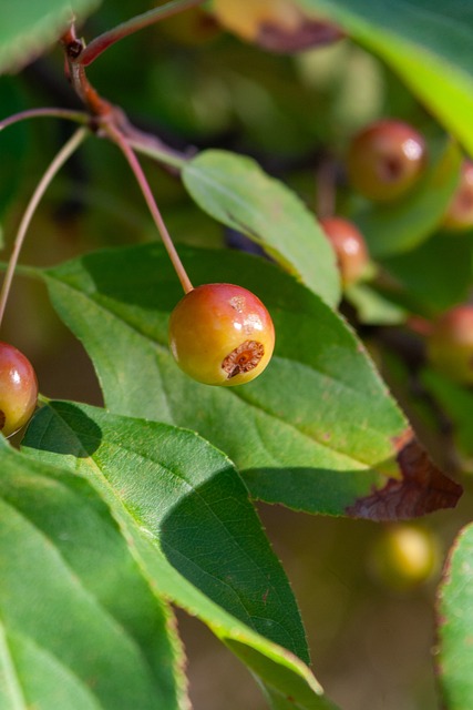 TA列世界杯美加墨酒店房价：平均涨幅超3倍，最高涨24倍
